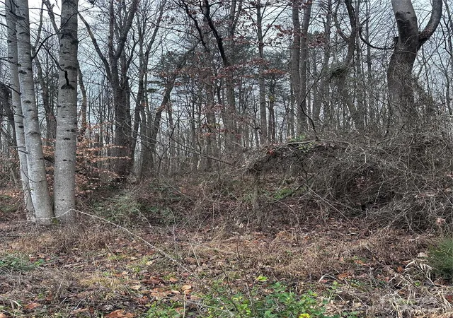 4th image of 000 S State St, Yadkinville, NC 27055 | MLS# 4300346