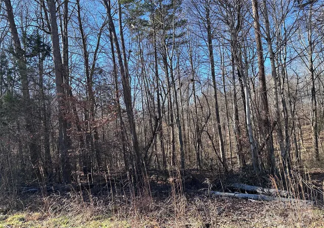 6th image of 000 S State St, Yadkinville, NC 27055 | MLS# 4300346