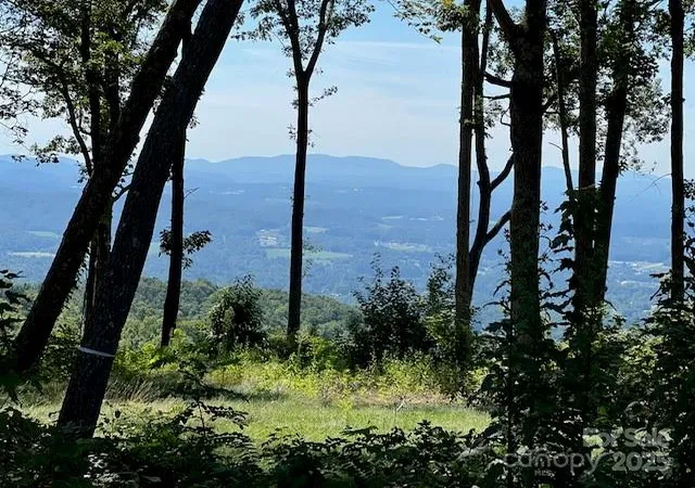 1st image of 462 E Garden Trl #37, Hendersonville, NC 28792 | MLS# 4300459