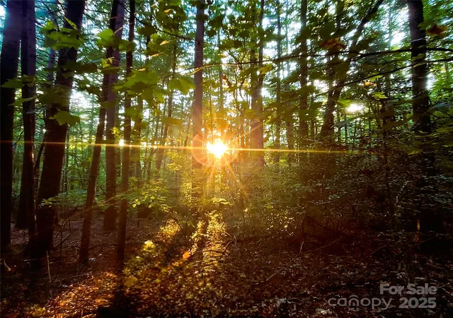 1st image of 0 Broyles Rd, Hendersonville, NC 28791 | MLS# 4300626
