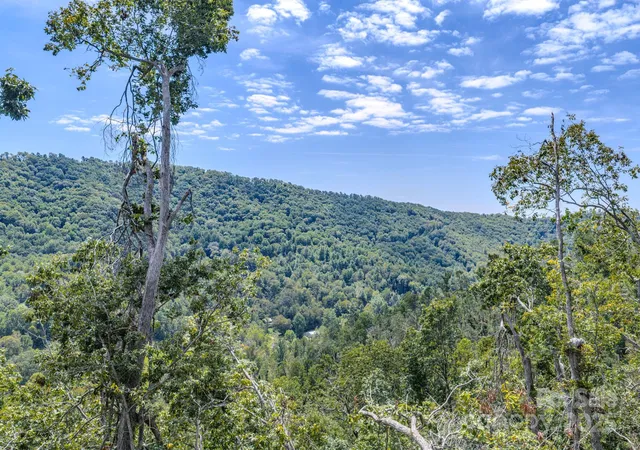 2nd image of 99999 Majestic Mountain Dr, Asheville, NC 28805 | MLS# 4300755