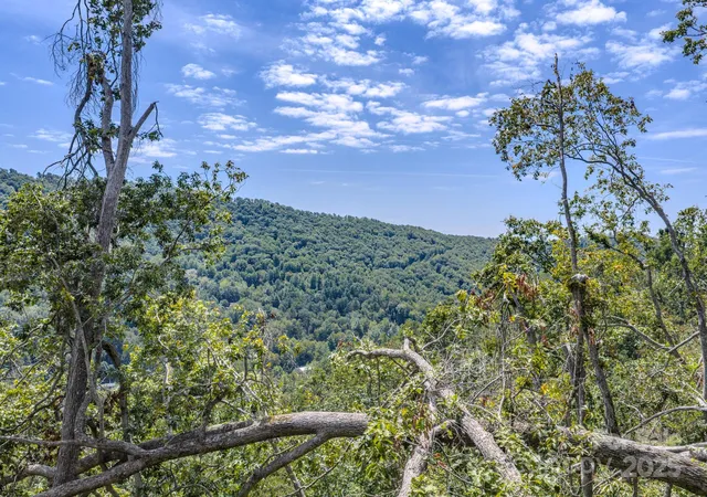 5th image of 99999 Majestic Mountain Dr, Asheville, NC 28805 | MLS# 4300755