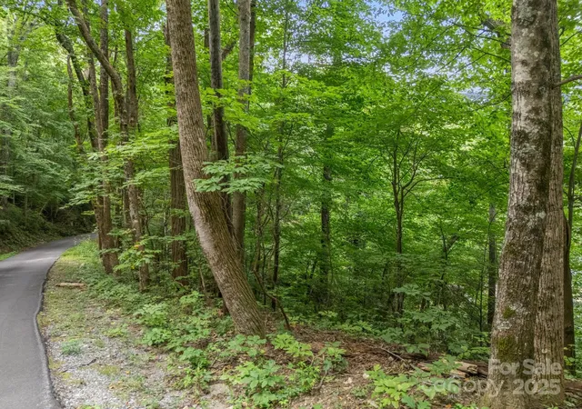 Photo 1 of Land for sale at 00 Mistletoe Park, Lake Lure, NC 28746 | MLS# 4300894 | Listing updated on 2026-09-01