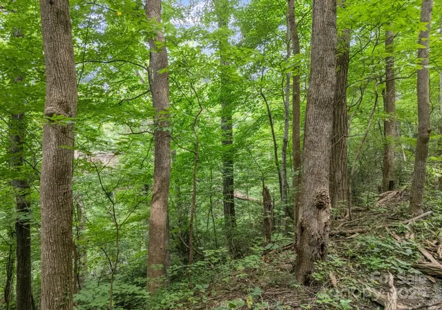 Photo 2 of Land for sale at 00 Mistletoe Park, Lake Lure, NC 28746 | MLS# 4300894 | Listing updated on 2026-09-01