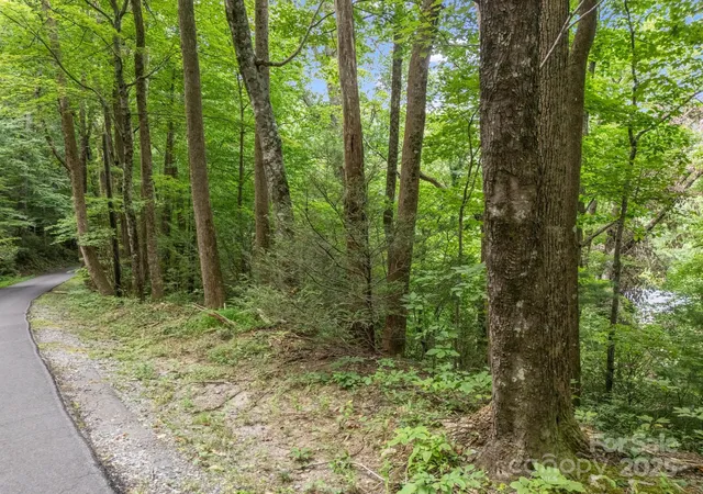 Photo 3 of Land for sale at 00 Mistletoe Park, Lake Lure, NC 28746 | MLS# 4300894 | Listing updated on 2026-09-01