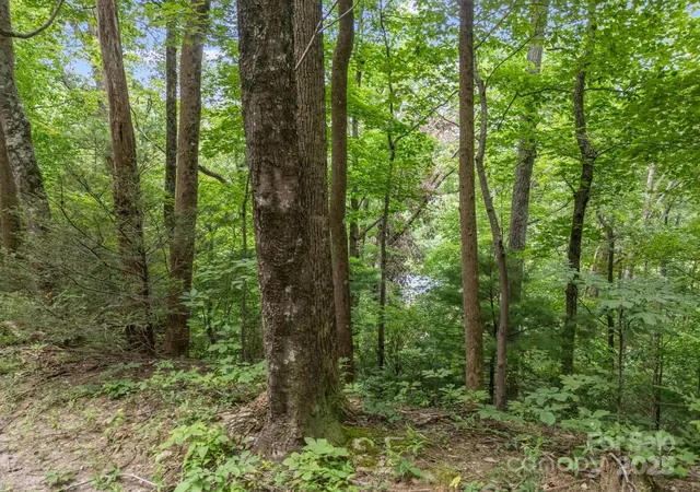 Photo 3 of Land for sale at 00 Mistletoe Park, Lake Lure, NC 28746 | MLS# 4300894 | Listing updated on 2026-09-01