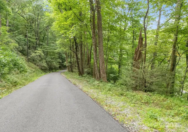 Photo 4 of Land for sale at 00 Mistletoe Park, Lake Lure, NC 28746 | MLS# 4300894 | Listing updated on 2026-09-01
