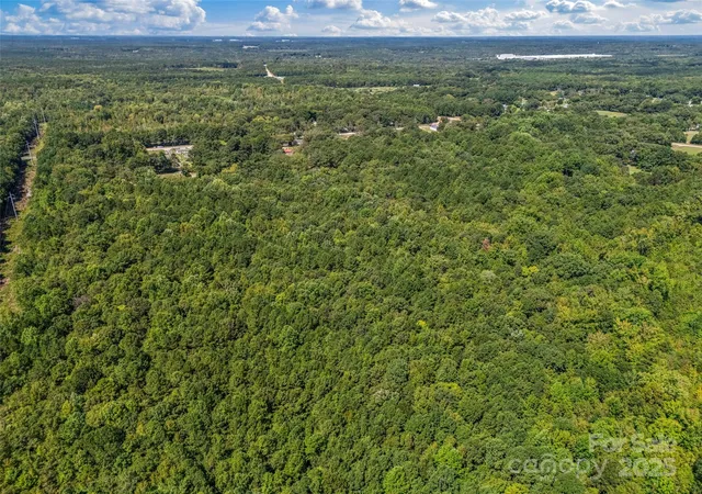 Photo 16 of Land for sale at 38+/1 Ac Main St, Richburg, SC 29729 | MLS# 4301199 | Listing updated on 2026-08-31