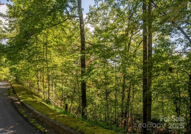 Photo 2 of Land for sale at Tbd Pine Mountain Trl #M79, Brevard, NC 28712 | MLS# 4301200 | Listing updated on 2026-08-06
