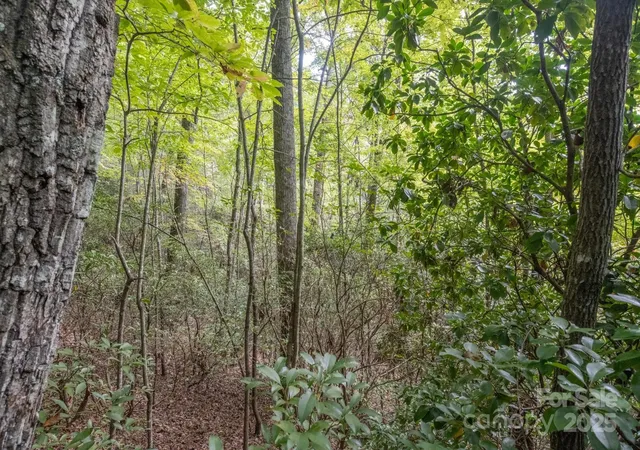 Photo 21 of Land for sale at Tbd Pine Mountain Trl #M79, Brevard, NC 28712 | MLS# 4301200 | Listing updated on 2026-08-06