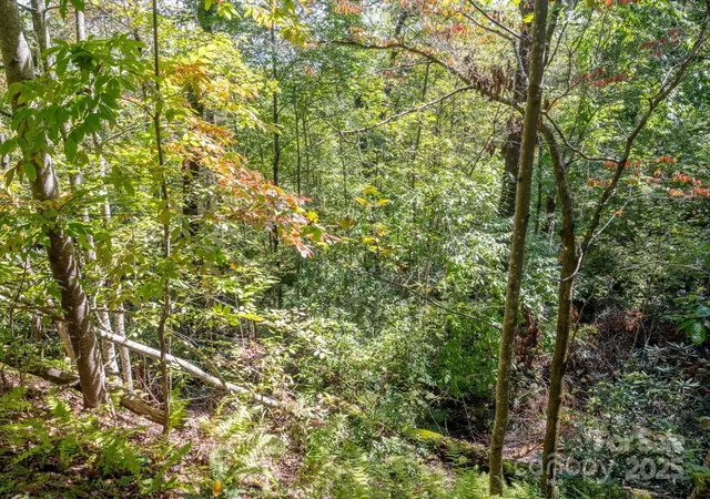 Photo 3 of Land for sale at Tbd Pine Mountain Trl #M79, Brevard, NC 28712 | MLS# 4301200 | Listing updated on 2026-08-06