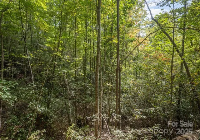 Photo 4 of Land for sale at Tbd Pine Mountain Trl #M79, Brevard, NC 28712 | MLS# 4301200 | Listing updated on 2026-08-06