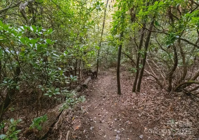 Photo 5 of Land for sale at Tbd Pine Mountain Trl #M79, Brevard, NC 28712 | MLS# 4301200 | Listing updated on 2026-08-06