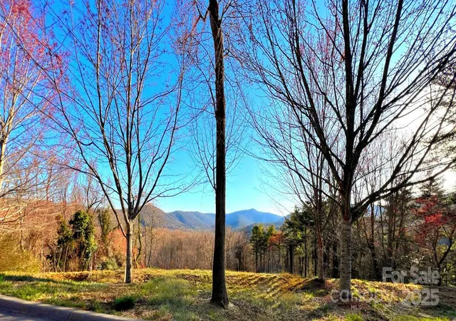 2nd image of 33 Grovepoint Way, Asheville, NC 28804 | MLS# 4301213
