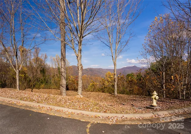 3rd image of 33 Grovepoint Way, Asheville, NC 28804 | MLS# 4301213