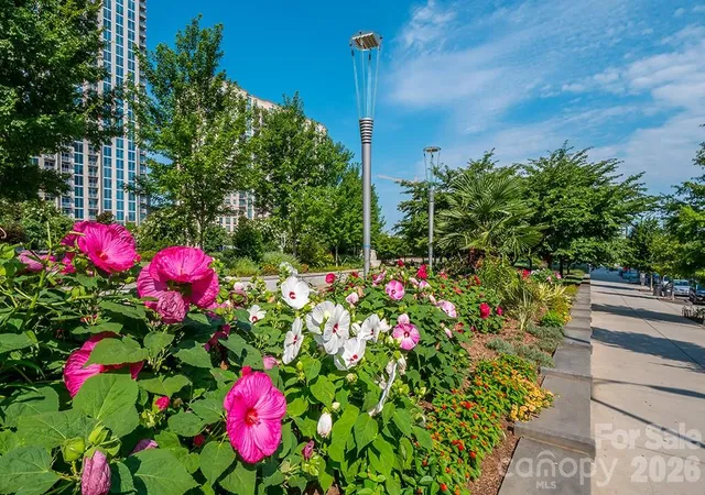 image of 525 E Sixth St, Charlotte, NC 28202