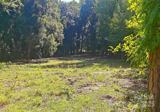 3rd image of 2217 Eastway Dr, Charlotte, NC 28205 | MLS# 4302907