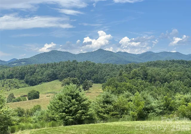 Homes for sale in Mars Hill, NC | 1387 Woods Ammons Rd, Mars Hill, NC 28754 | MLS# 4303363