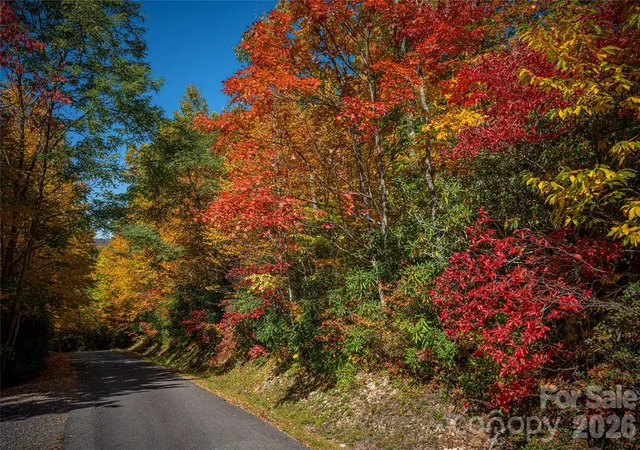 Photo 16 of Land for sale at 205 Chickadee Ln #205, Maggie Valley, NC 28751 | MLS# 4303576 | Listing updated on 2026-08-15