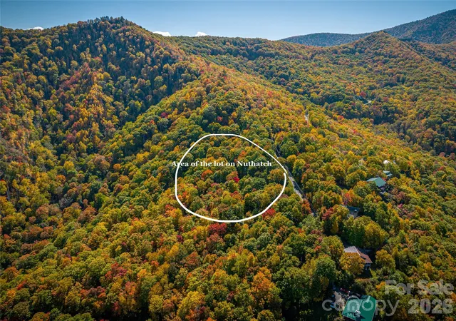 Photo 3 of Land for sale at 205 Chickadee Ln #205, Maggie Valley, NC 28751 | MLS# 4303576 | Listing updated on 2026-08-15