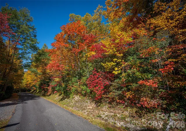 Photo 5 of Land for sale at 205 Chickadee Ln #205, Maggie Valley, NC 28751 | MLS# 4303576 | Listing updated on 2026-08-15