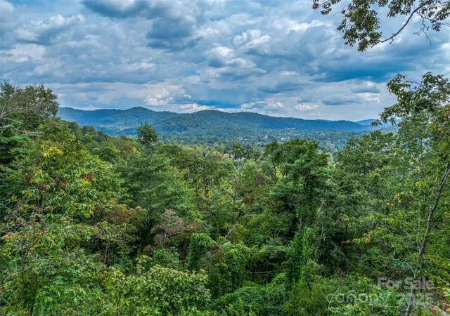 3rd image of 147 Senator Reynolds Rd, Asheville, NC 28804 | MLS# 4303977