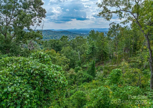 2nd image of 147 Senator Reynolds Rd, Asheville, NC 28804 | MLS# 4303977