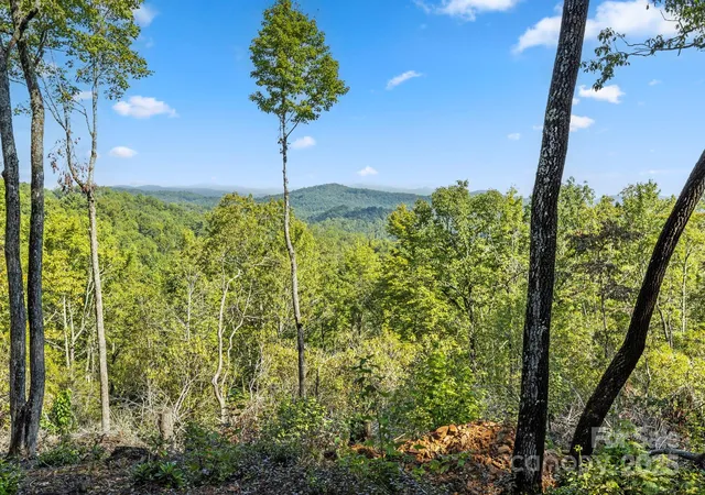 Photo 5 of Land for sale at 11763 Rosman Hwy, Lake Toxaway, NC 28747 | MLS# 4304631 | Listing updated on 2026-03-03