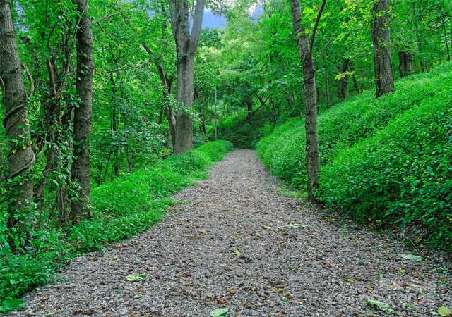 4th image of 125 Floribunda Path #Lot 8A, Asheville, NC 28803 | MLS# 4305023