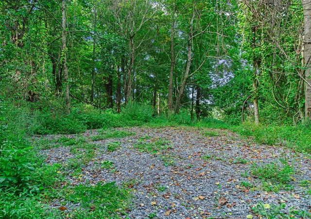 5th image of 125 Floribunda Path #Lot 8A, Asheville, NC 28803 | MLS# 4305023