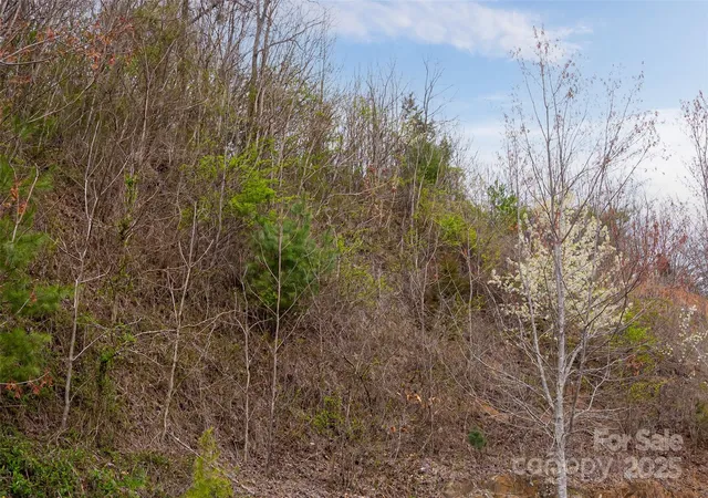 2nd image of 12 Grovepoint Way, Asheville, NC 28804 | MLS# 4305124