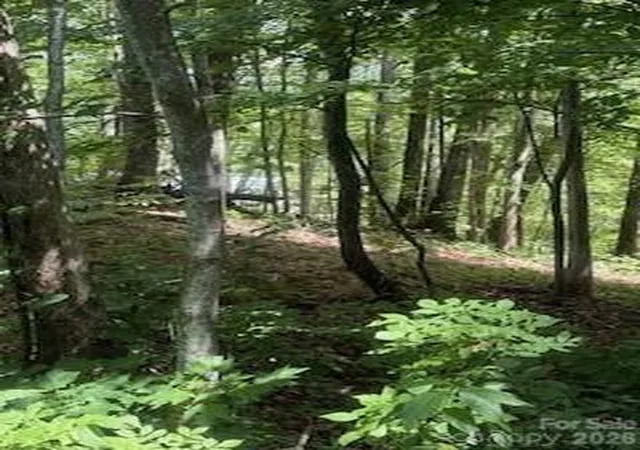 Photo 1 of Land for sale at 22 Signature Row Blvd, Waynesville, NC 28785 | MLS# 4305160 | Listing updated on 2026-10-01