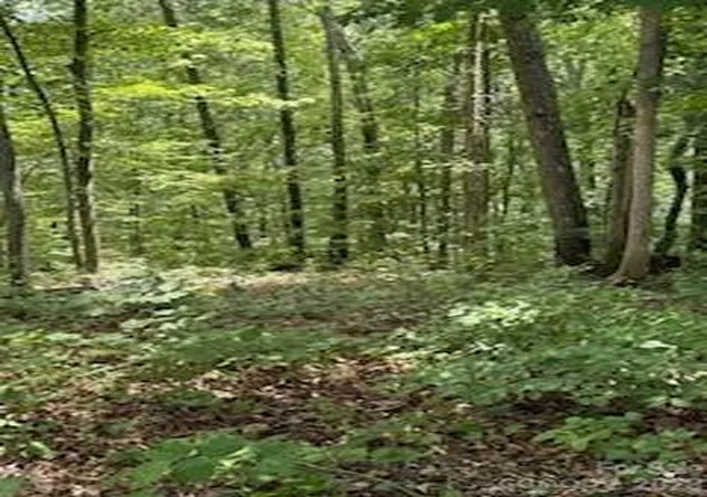 Photo 2 of Land for sale at 22 Signature Row Blvd, Waynesville, NC 28785 | MLS# 4305160 | Listing updated on 2026-10-01
