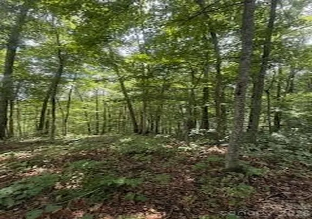Photo 3 of Land for sale at 22 Signature Row Blvd, Waynesville, NC 28785 | MLS# 4305160 | Listing updated on 2026-10-01