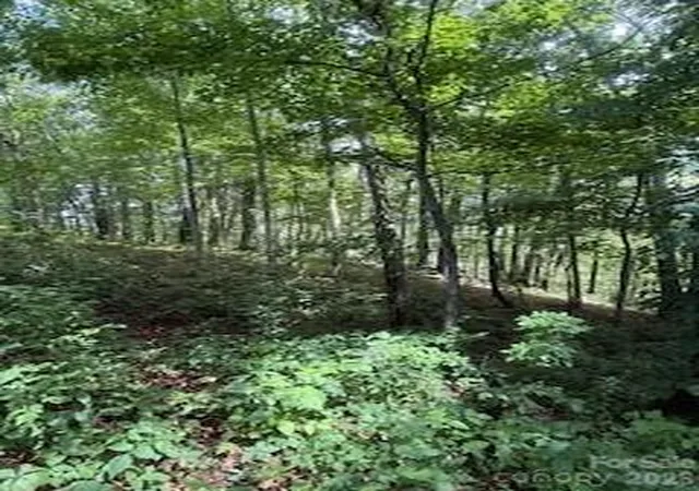 Photo 4 of Land for sale at 22 Signature Row Blvd, Waynesville, NC 28785 | MLS# 4305160 | Listing updated on 2026-10-01