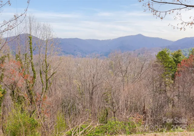 2nd image of 32 Grovepoint Way, Asheville, NC 28804 | MLS# 4305165