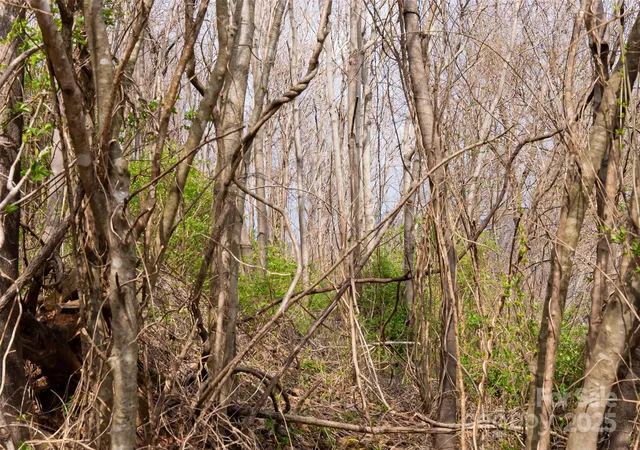 4th image of 32 Grovepoint Way, Asheville, NC 28804 | MLS# 4305165