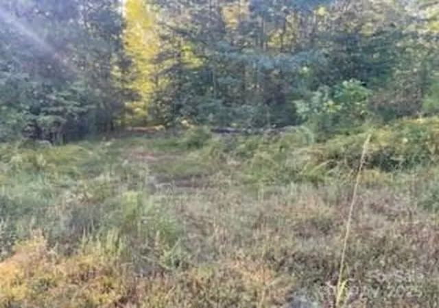 Photo 3 of Land for sale at 000 Cross Crk Ests Rd, Lancaster, SC 29720 | MLS# 4305455 | Listing updated on 2026-08-18