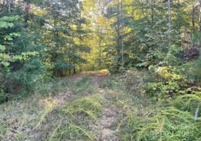 Photo 4 of Land for sale at 000 Cross Crk Ests Rd, Lancaster, SC 29720 | MLS# 4305455 | Listing updated on 2026-08-18