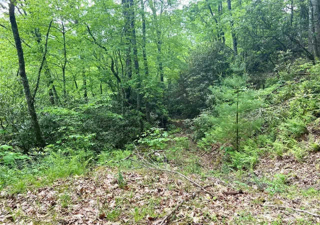 Photo 1 of Land for sale at Lot 10 Mystic Forest Way, Topton, NC 28781 | MLS# 4305532 | Listing updated on 2026-08-25