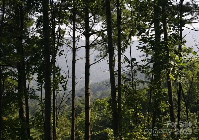 4th image of 68 Wolfebridge Ln #16, Asheville, NC 28804 | MLS# 4305892