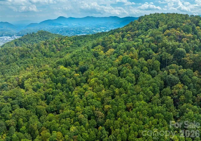 5th image of 99999 Carolina Blvd, Canton, NC 28716 | MLS# 4306177