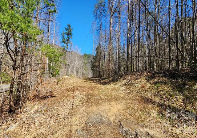 Photo 4 of Land for sale at 0 Buffalo Crk Rd #74, Lake Lure, NC 28746 | MLS# 4306309 | Listing updated on 2026-09-26
