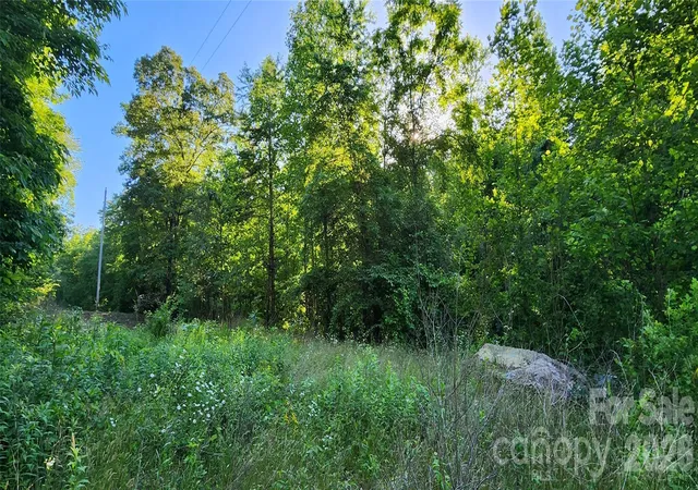 Photo 1 of Land for sale at 0 Buffalo Crk Rd #74, Lake Lure, NC 28746 | MLS# 4306309 | Listing updated on 2026-09-26