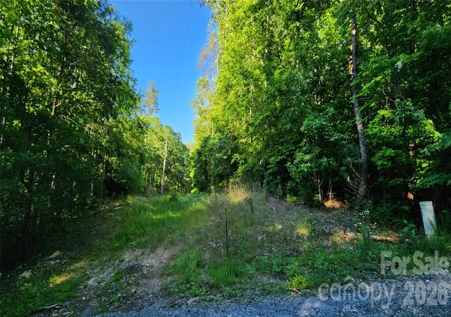 Photo 3 of Land for sale at 0 Buffalo Crk Rd #74, Lake Lure, NC 28746 | MLS# 4306309 | Listing updated on 2026-09-26