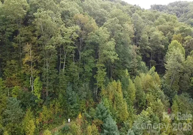Photo 5 of Land for sale at 97 Settings Blvd, Black Mountain, NC 28711 | MLS# 4306551 | Listing updated on 2026-07-17
