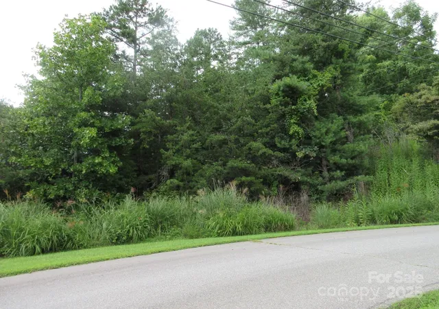 Photo 1 of Sale Pending at 0 Old Burnsville Rd, Weaverville, NC 28787 | MLS# 4306751 | Listing updated on 2026-06-30