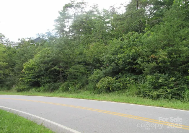 Photo 3 of Sale Pending at 0 Old Burnsville Rd, Weaverville, NC 28787 | MLS# 4306751 | Listing updated on 2026-06-30