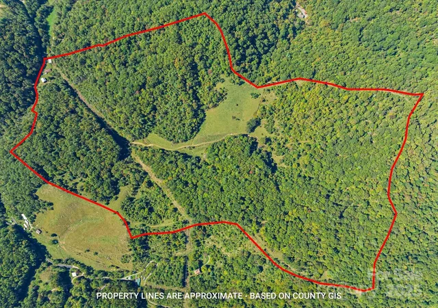 Photo 1 of Land for sale at 1623 Ammons Branch Rd, Marshall, NC 28753 | MLS# 4307069 | Listing updated on 2026-08-29