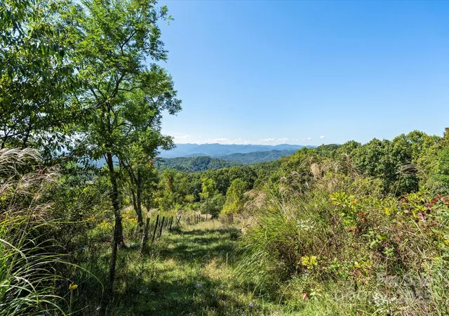 Photo 2 of Land for sale at 1623 Ammons Branch Rd, Marshall, NC 28753 | MLS# 4307069 | Listing updated on 2026-08-29